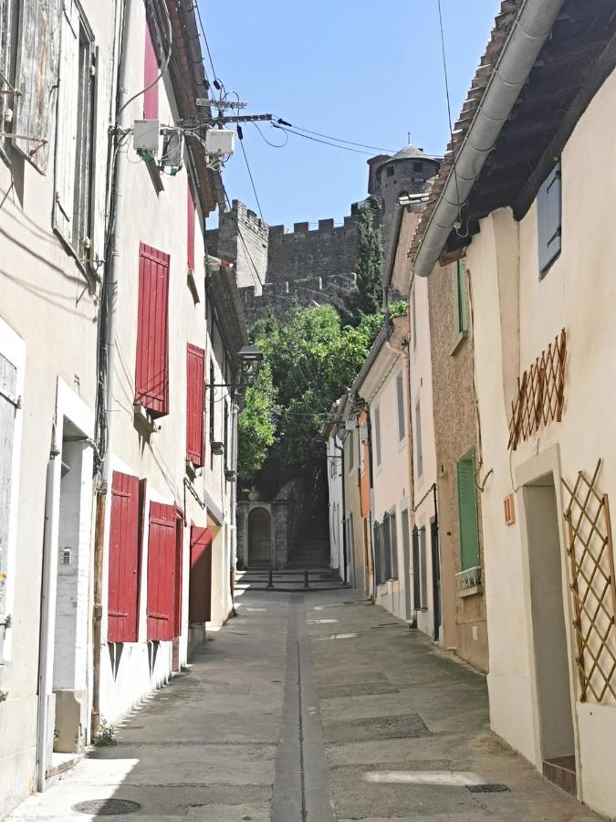 Les Remparts De Caroline, Au Pied De La Cite. Villa Carcassonne Ngoại thất bức ảnh